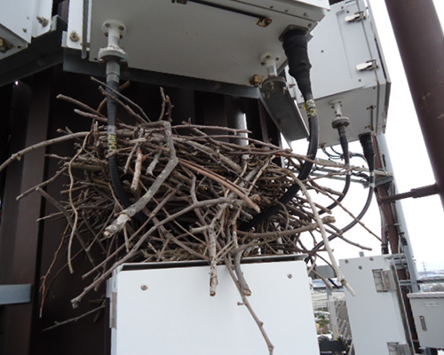 各種電気工事事業事例｜株式会社 大木無線電気