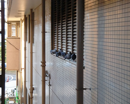 各種電気工事事業事例｜株式会社 大木無線電気