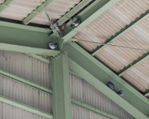 各種電気工事事業事例｜株式会社 大木無線電気